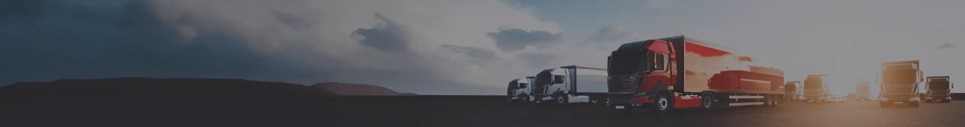 Banner Transport Agabaritic - Crystal Logistics Services