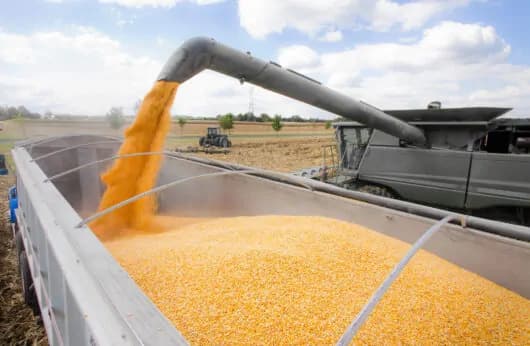 Curier încărcând colet